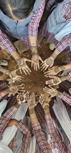 Mehandi fest hands.jpeg
