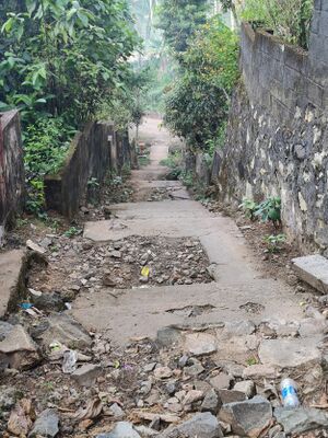 Mklkl 42512 step 80yrs old 1.jpg