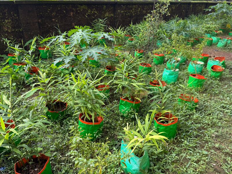 പ്രമാണം:Veg Cultivation SMS.jpg