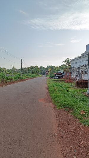 11021-ROAD.jpg