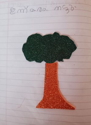 13650-KNR-KUNJ-NOOR ALAM 3.jpg