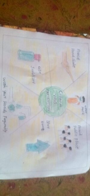 17546-Corona Virus 6.jpeg