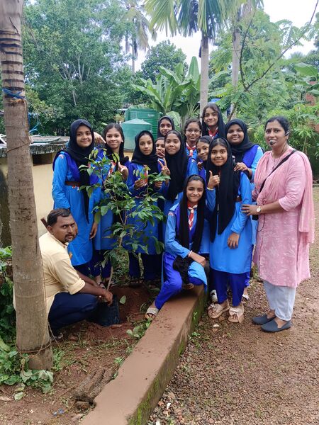പ്രമാണം:19866-MLP-ENVIRONMENT2-2026.jpg