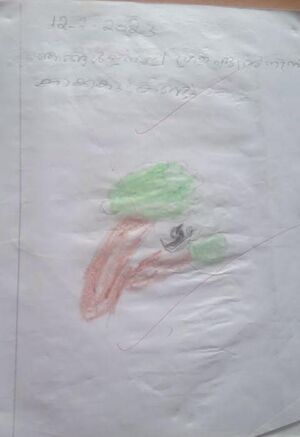 19866-MLP-KUNJ-NASBEEL M.jpg