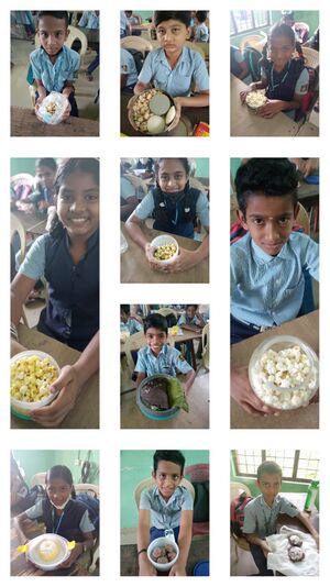 22071 TSR Millet day2.jpg