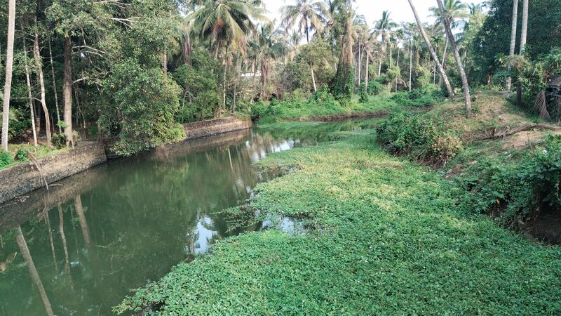 പ്രമാണം:24616 endegramam riverl.jpg