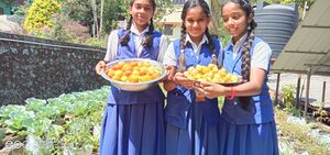 29040-Vegetable Garden-1.jpg