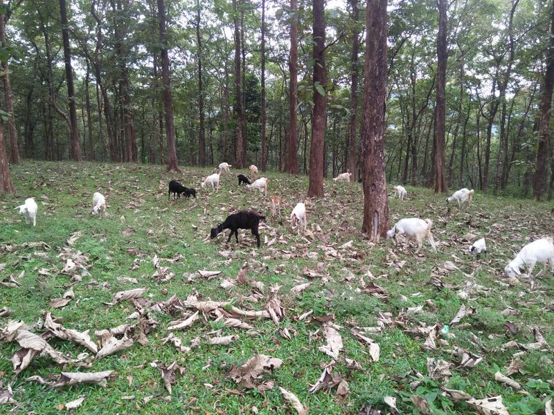 പ്രമാണം:38046 vil5.jpg