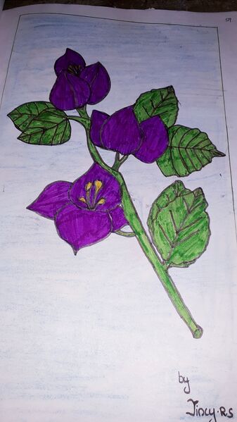 പ്രമാണം:44050 522.jpg