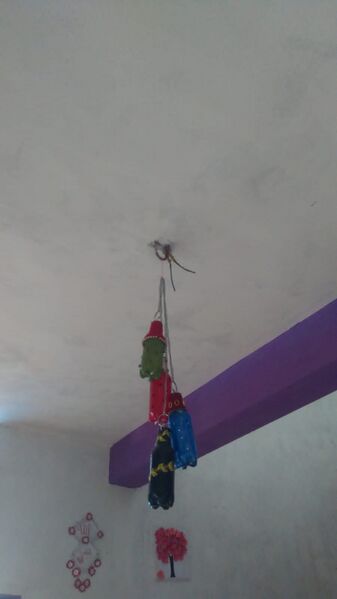 പ്രമാണം:44050 eco 25.jpeg