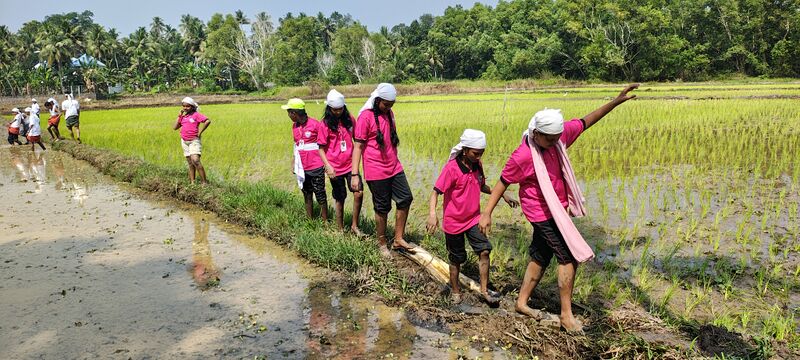 പ്രമാണം:44244 ssss nelpadam 2026 3.jpg