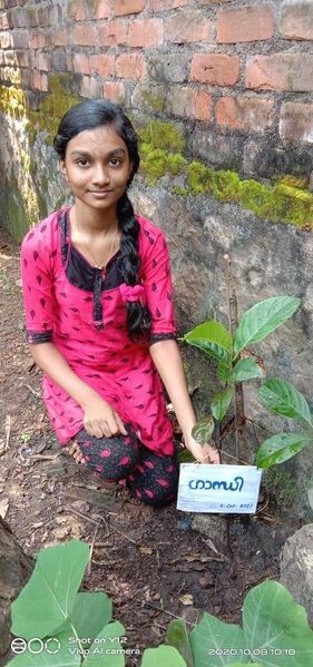 പ്രമാണം:44552 തൈ നടൽ.jpg