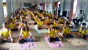 11051 INTERNATIONAL YOGA DAY20172.jpg