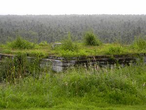 13036 Madayi kotta.JPG