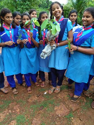 13121 scouting 11.jpg