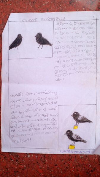 പ്രമാണം:19253-MLP-KUNJ-MUHAMMED FAISAN.jpg