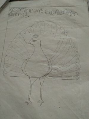 24653-TSR-KUNJ-SHANA K.M.jpg