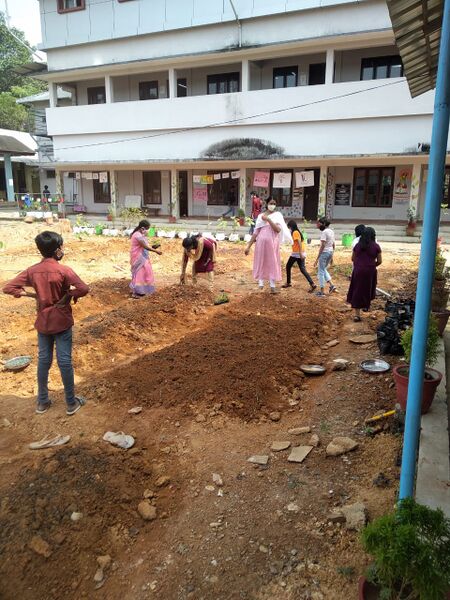 പ്രമാണം:25095 v6.jpeg