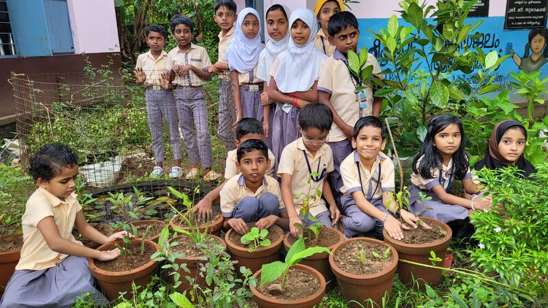 പ്രമാണം:29228 sed2.jpg