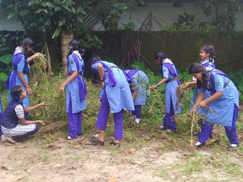 പ്രമാണം:34024 Scout 2.jpg