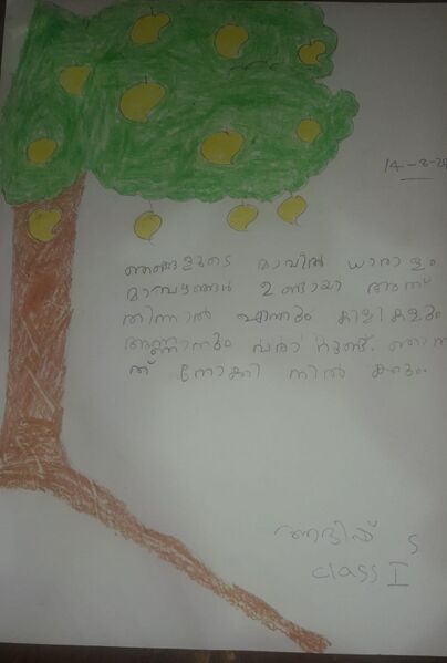 പ്രമാണം:34206-ALP-KUNJ-Adish S.jpg