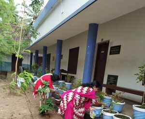 BS21 ALP 36057 1.jpg