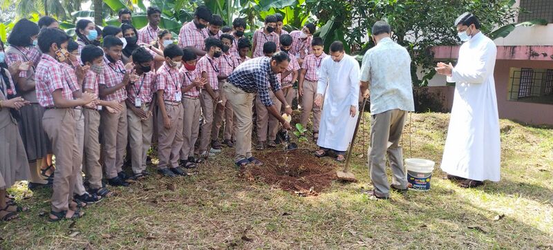 പ്രമാണം:Gandhi maram 2.jpg