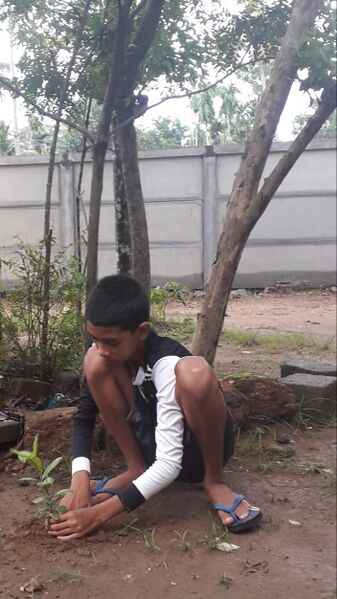 പ്രമാണം:June05 000.jpg