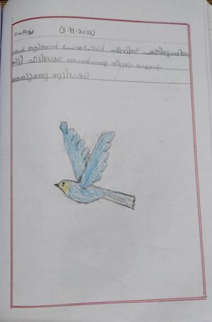 13100-KNR-ARYADEV E.jpg