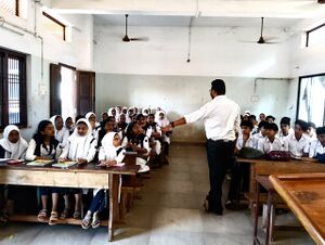 16008 WINGS 2025 .1.jpg