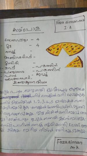 18459-mlp-kunj-faza aiman.jpeg