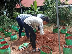 23033 GHS KUZHUR-MAKING VEGETABLE GARDEN.jpg