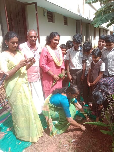 പ്രമാണം:23457 planting.jpeg