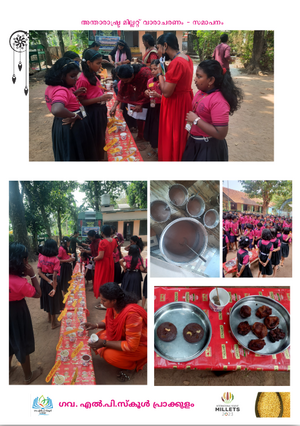 41409 millet year 2023 1.png