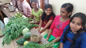 44055 karshaka1.resized.jpg