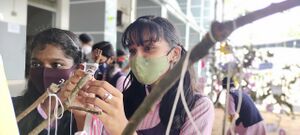 BS21 EKM 25078 4.jpg