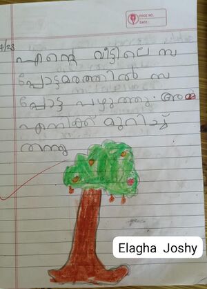 Fatima anappara7.jpeg