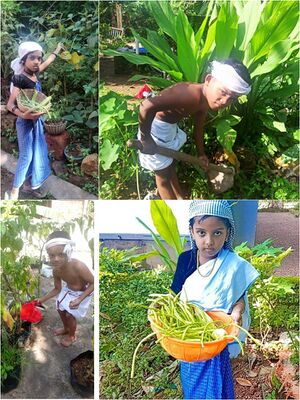 "19822-KUTTIKARSHAKAR.jpeg" .jpg