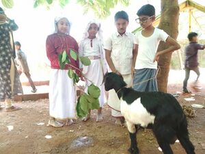 ബഷീർ ദിനാചരണം.jpeg