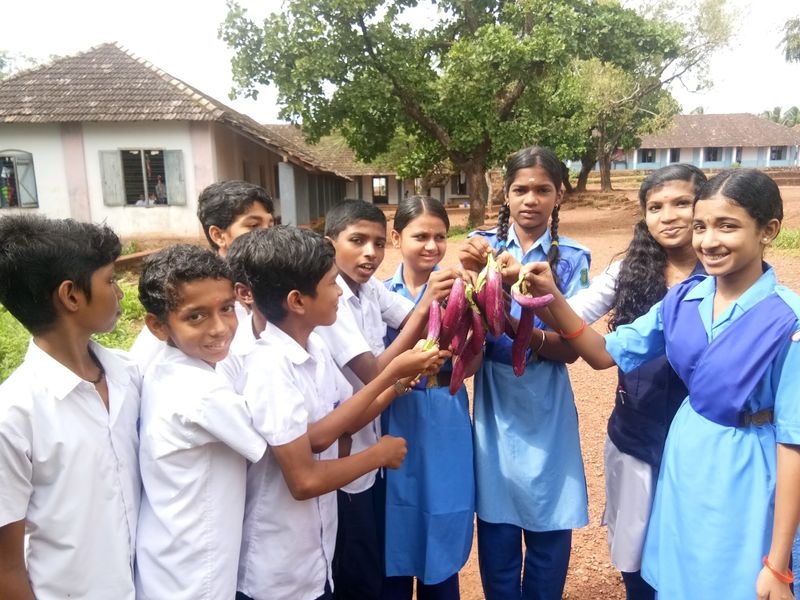 പ്രമാണം:12060 krishi 5.jpg