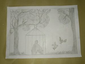 14611-Picture 13.jpeg