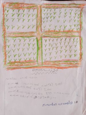 18215-MLP-KUNJ-SANHA FATHIMA1B.jpg