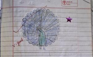 19833-MLP-KUNJ-fathimafiza 1b.jpg