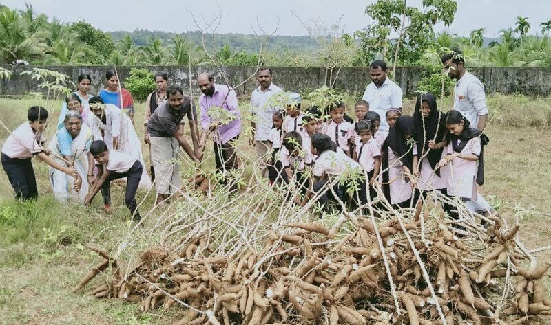 പ്രമാണം:19833krishi 51.jpg