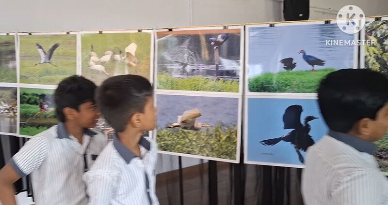 പ്രമാണം:25258 .jpg