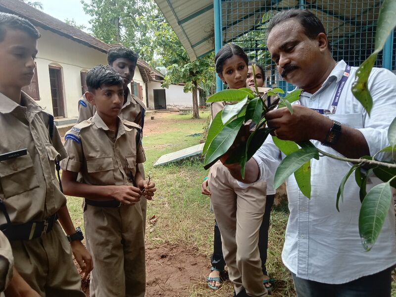 പ്രമാണം:36003 JUN26.jpg