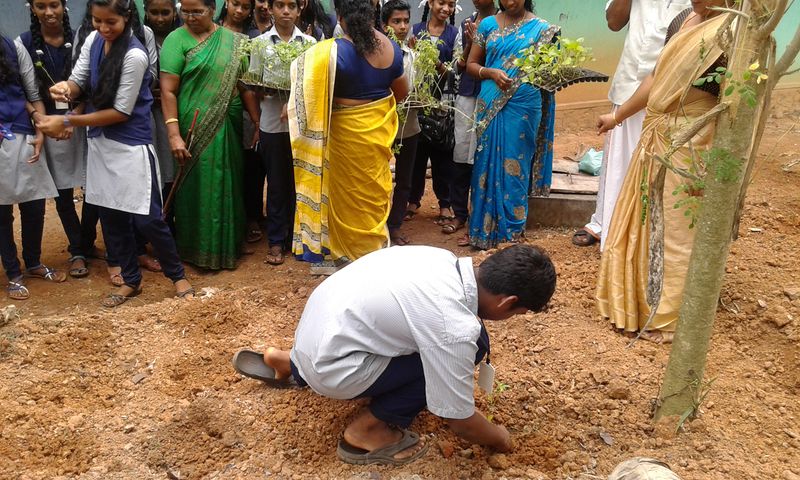 പ്രമാണം:44029 108.jpg