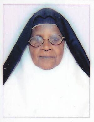 46225 HM Sr.Aney Jose.jpg