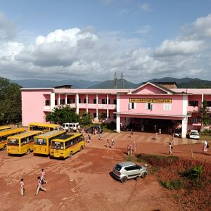 47066 school bus .jpeg