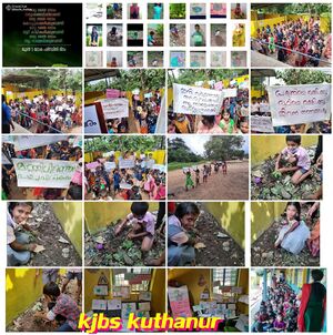 BS21 PKD 21425 1.jpeg